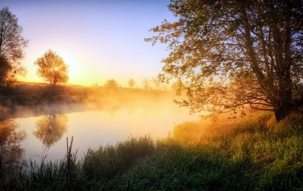 Картинка найдена на просторах интернета, ссылка https://yandex.ru/images/search?from=tabbar&img_url=https%3A%2Fi%2F.pinimg.com%2Foriginals%2Fa8%2F34%2Fа3f%2Fa83р43f82551с2879b5e7bd53274cf0591a19.jpg&lr=47&pos=15&rpt=simage&text=%D1%86%D0%B2%D0%B5%D1%82%D1%8B%20%D0%BA%D1%80%D1%83%D0%BF%D0%BD%D0%BE%20%D1%84%D0%BE%D1%82%D0%BE 