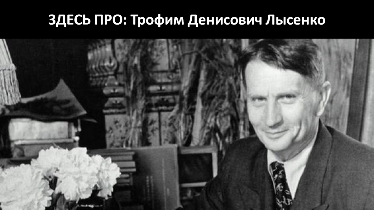 Не утихает полемика под моей статьёй: Поражает количество специалистов (пусть и недипломированных) в области генетики и селекции на один квадратный сантиметр Дзена.