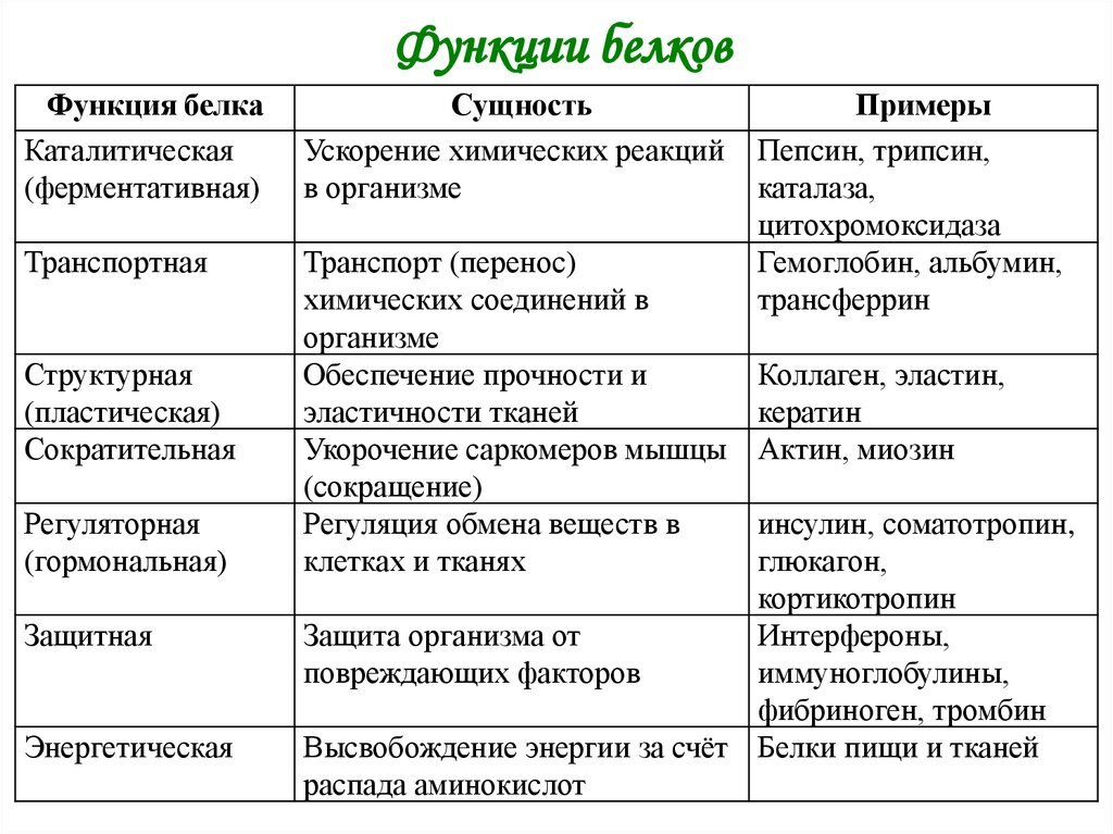 Функции белков