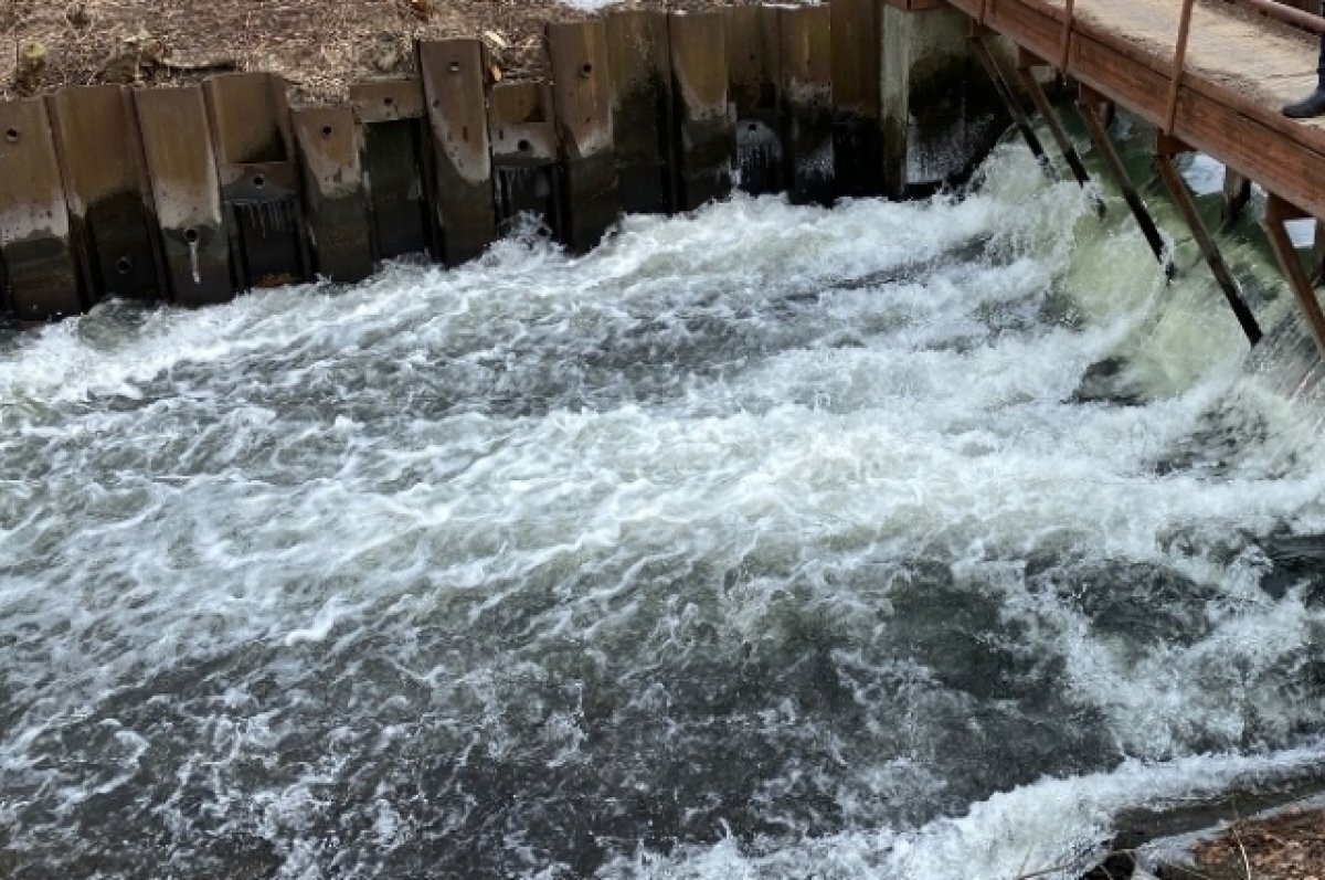    Уроки плавания.