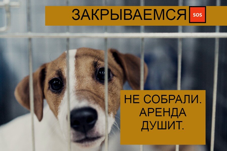 Времени у нас почти не осталось...