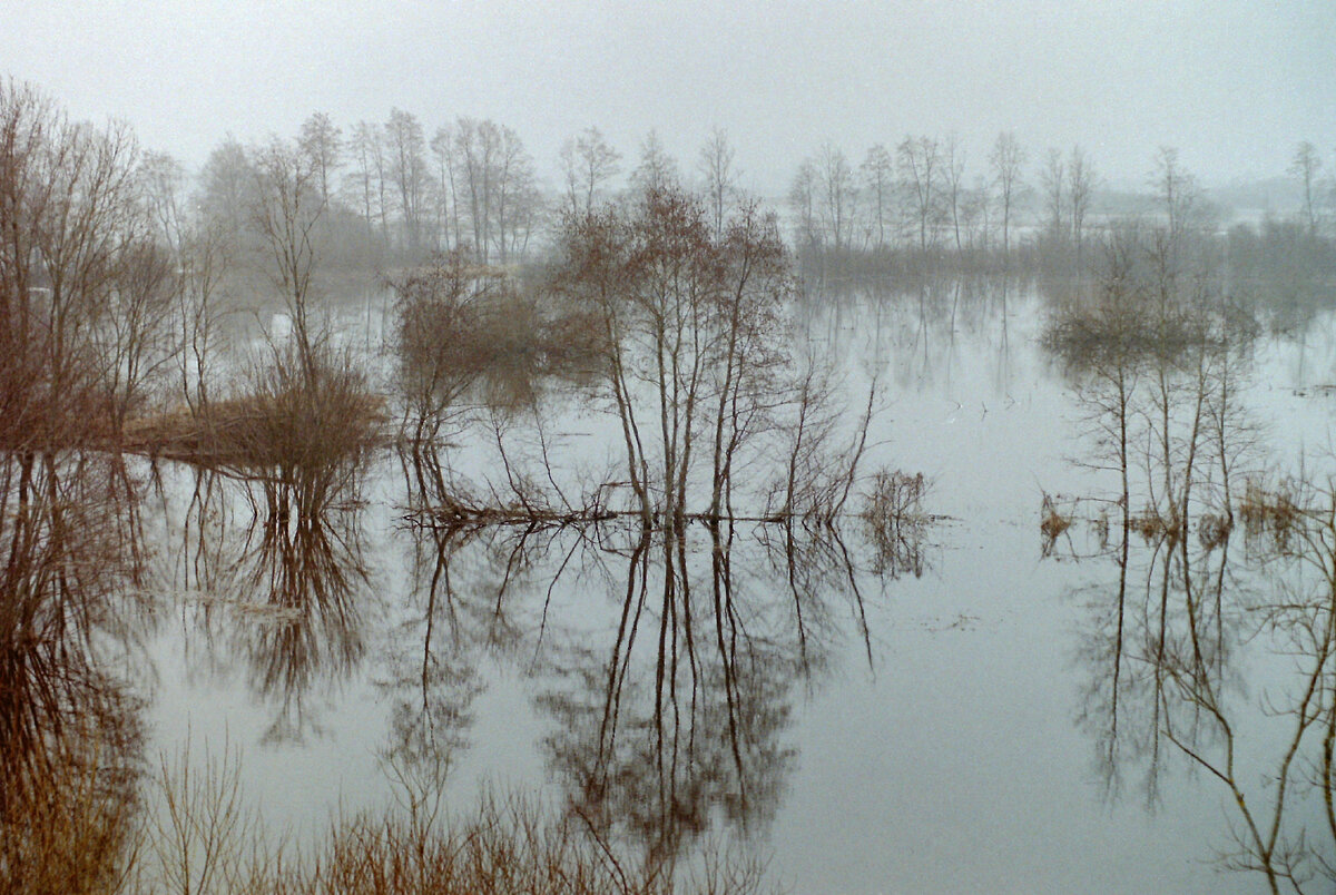 Фото: VICTOR LISITSYN/GLOBALLOOKPRESS