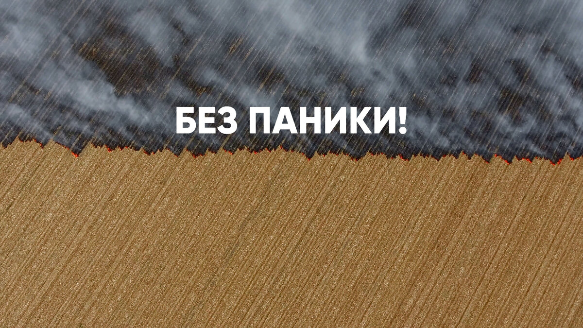 В Библии написано: «Верю я, что увижу блага Господни на земле живых!