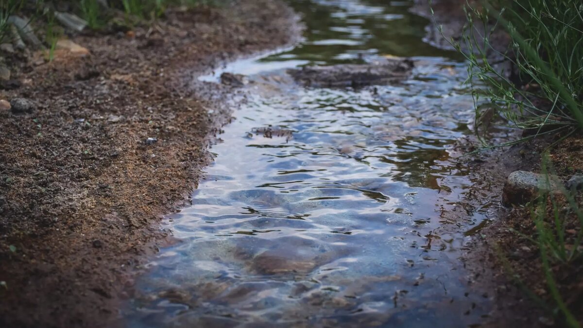     Источник: 1MI