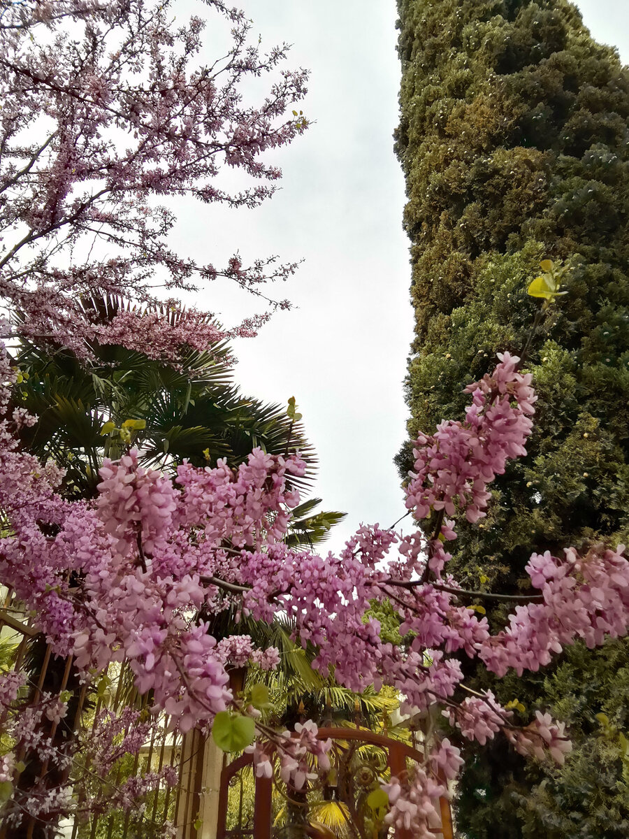 Природа расцветает. 