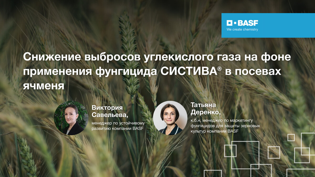 Как фунгицид СИСТИВА® помогает снижать выбросы углекислого газа | BASF Agro  Россия | Дзен