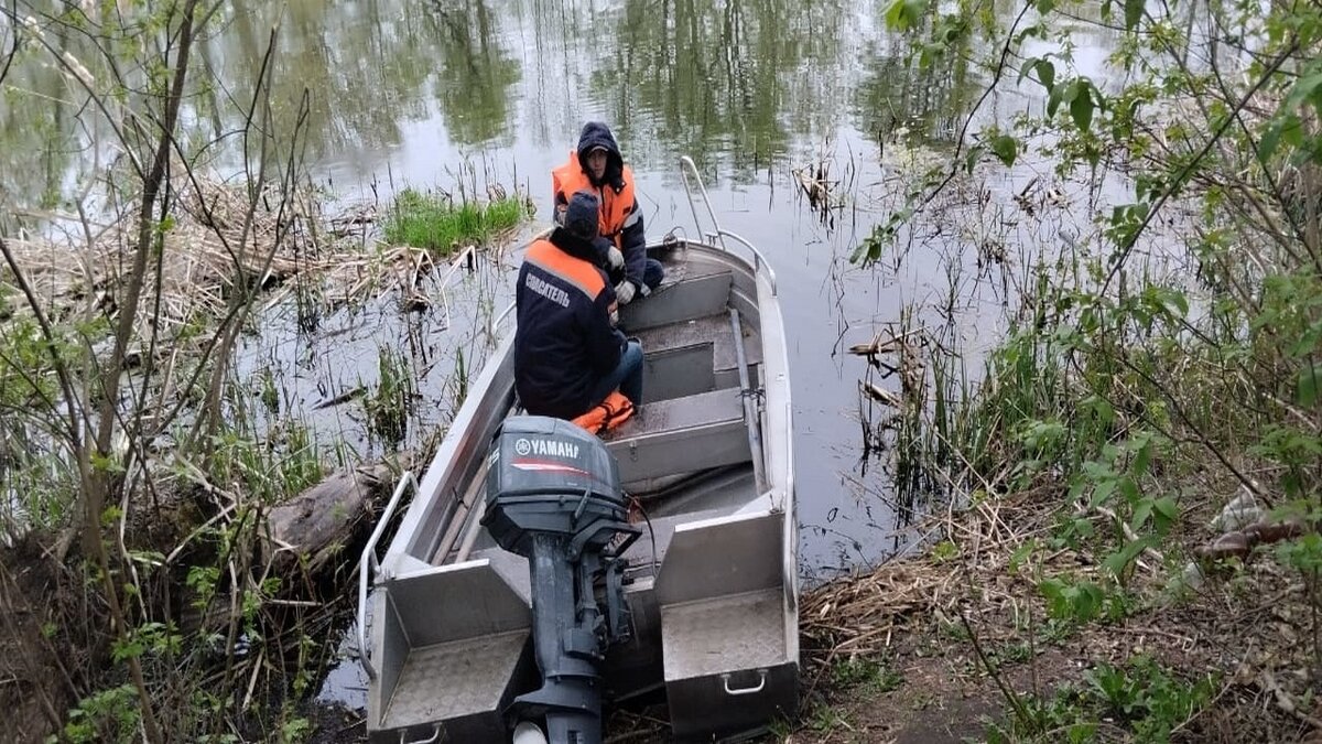    В Курской области утонул 57-летний мужчина