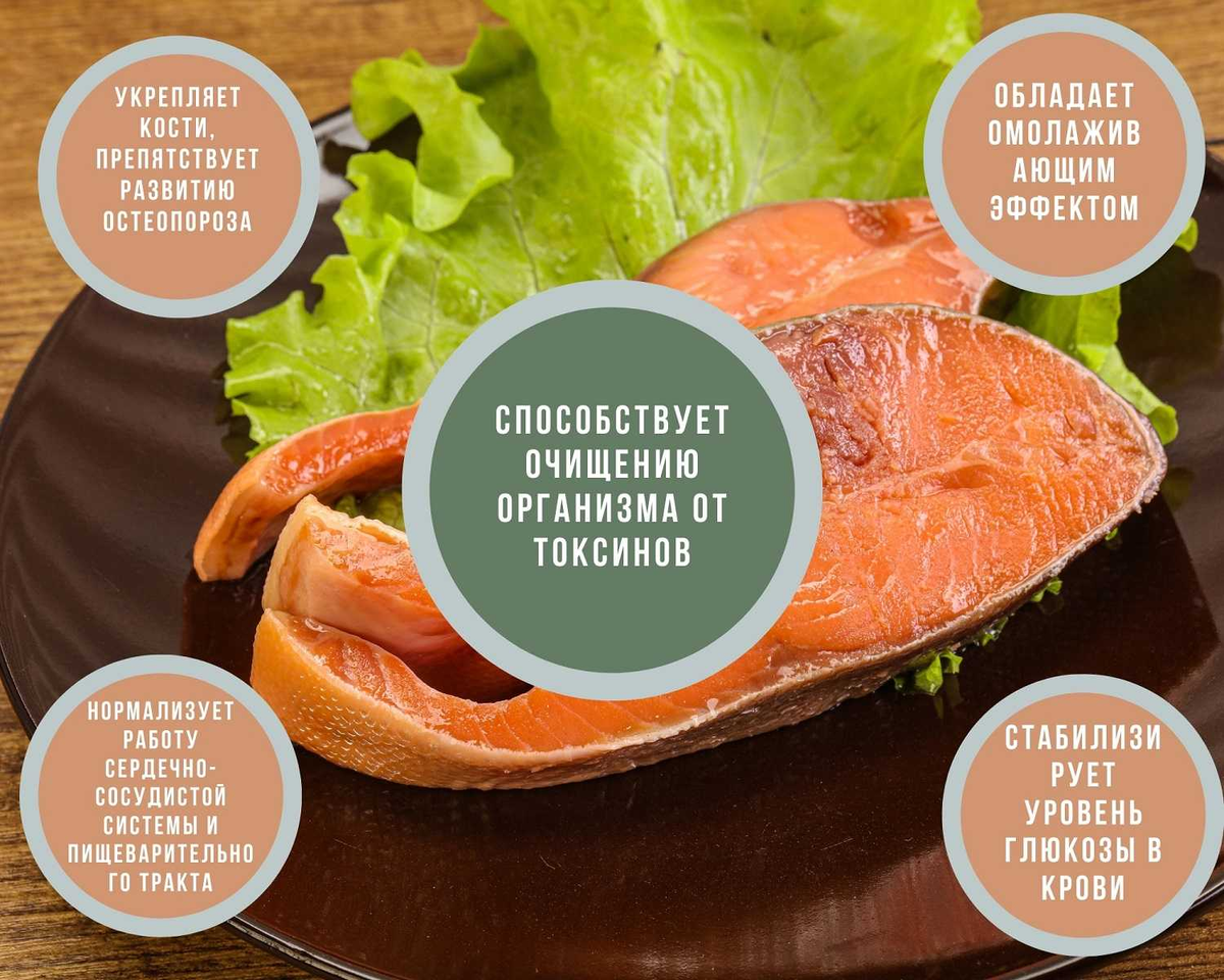 Фото с сайта: https://poseidonm.ru