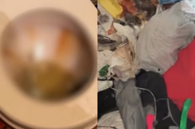 Обстановка в доме