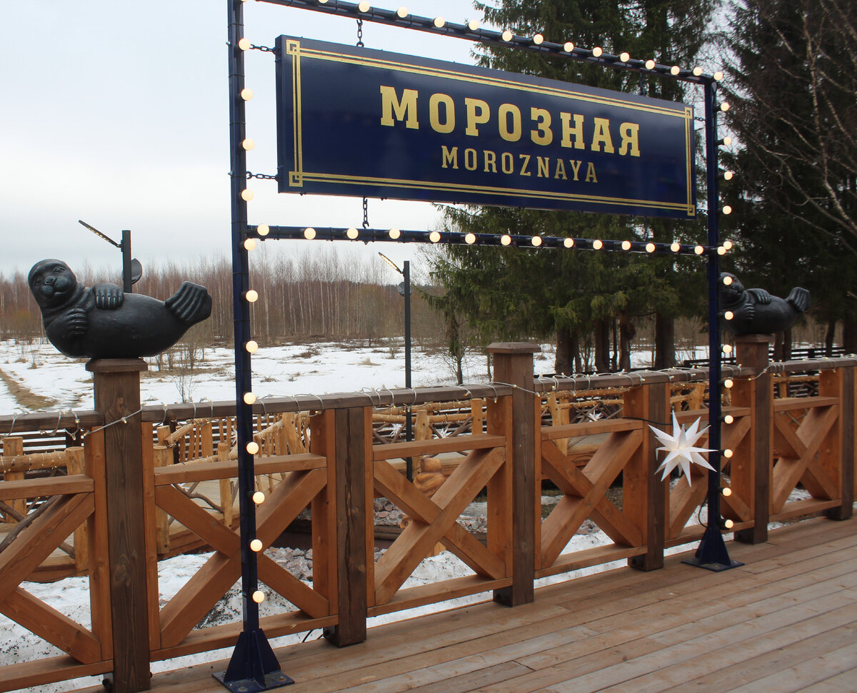 Третья по счету нерпочка.