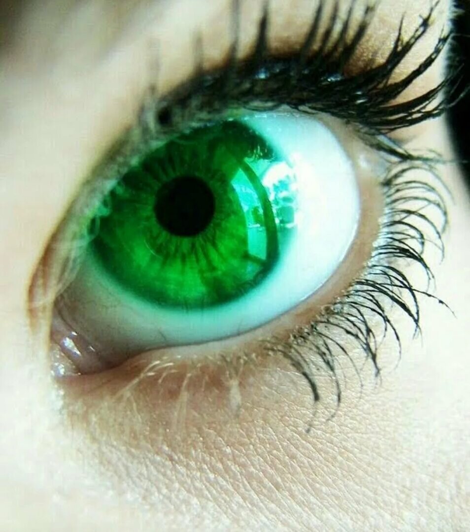 Фото из свободных источников 