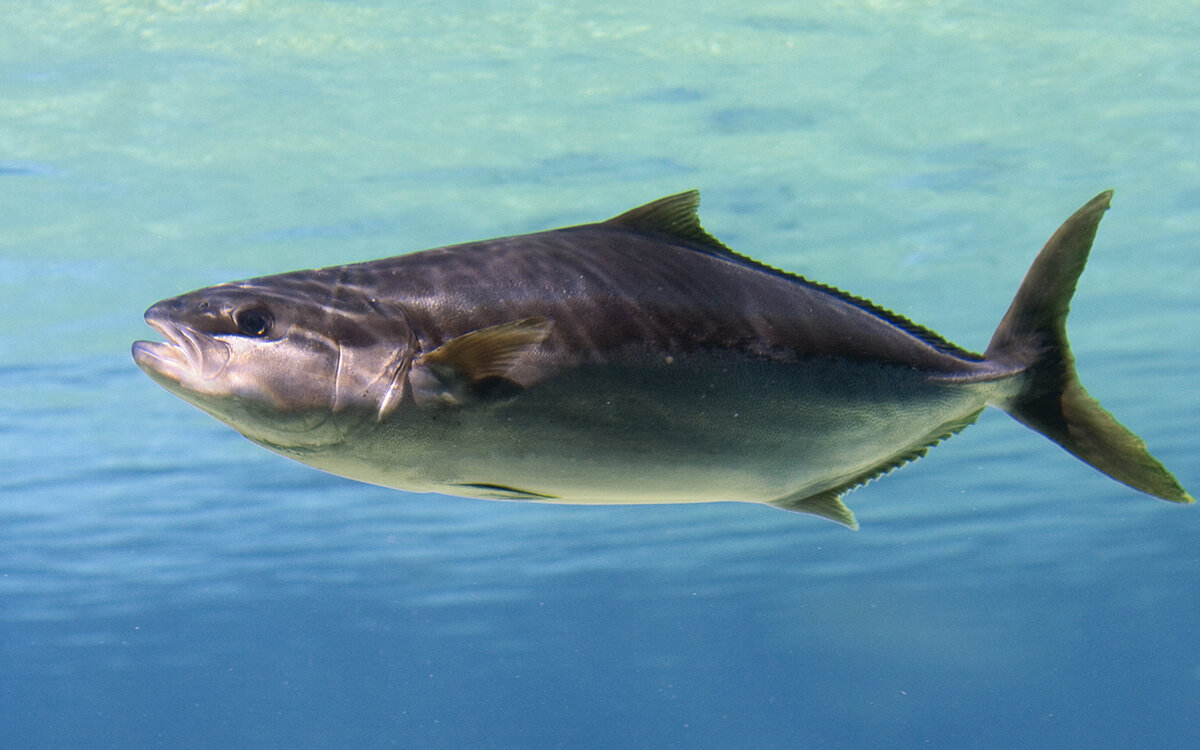 Фото: GettyImages