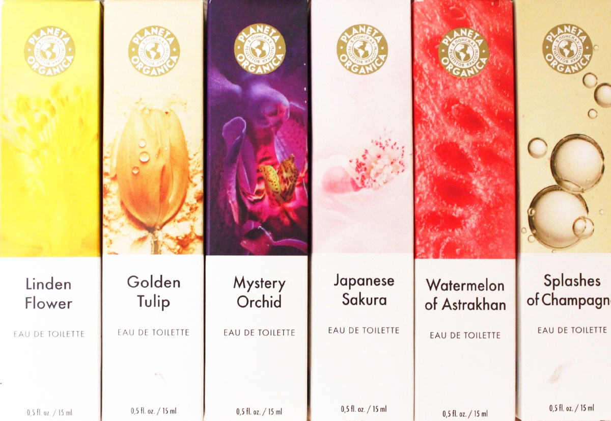 Фото сделано автором статьи