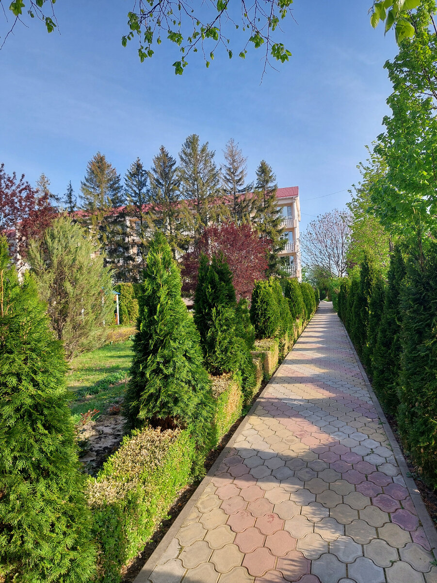 Фото автора территория санатория Лаба