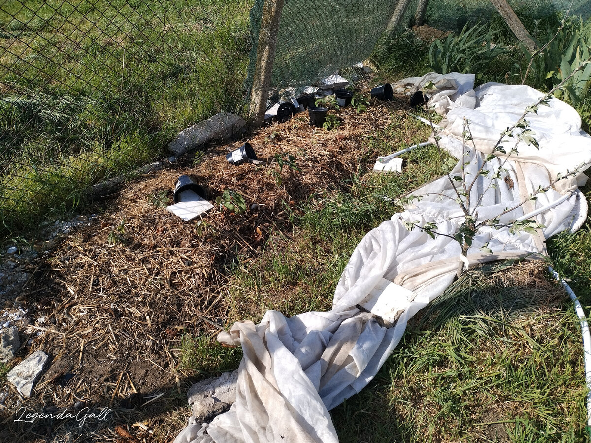 Ghybr весь унесло и перекрутило...