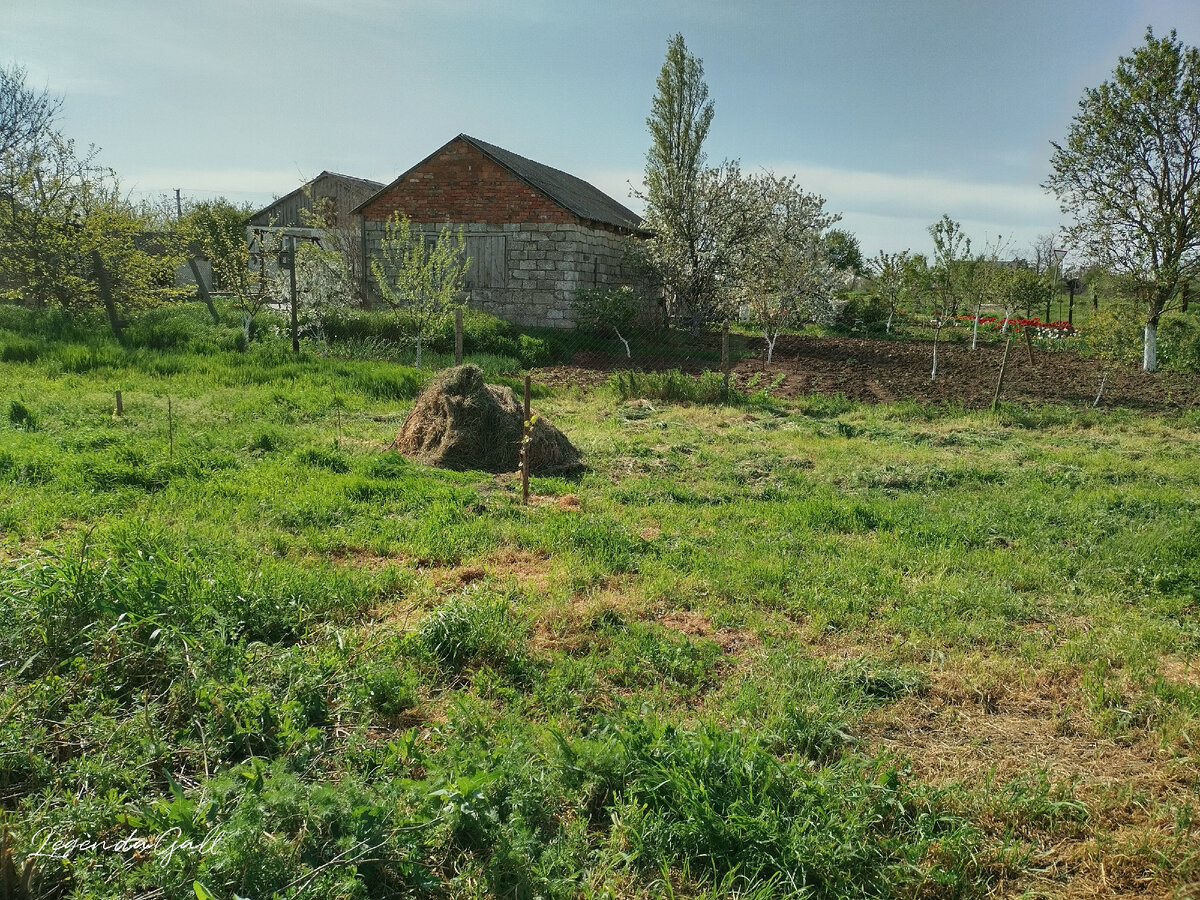 Кусок копны растворился...