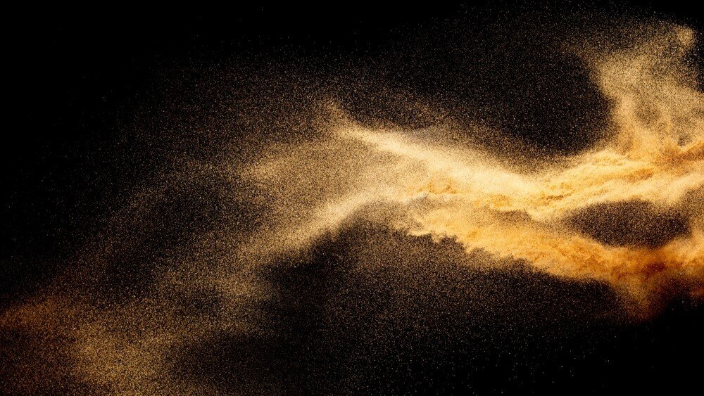    Фото: Shutterstock.com