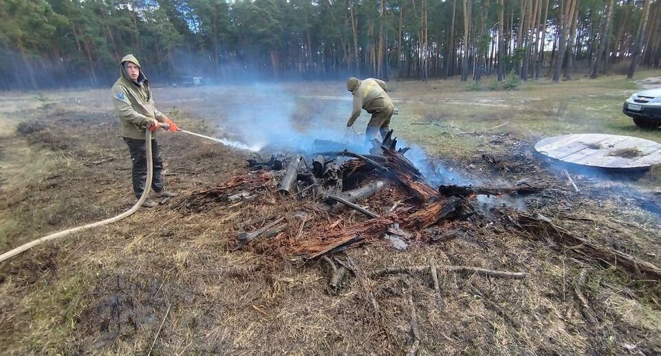    Комитет лесного хозяйства МО