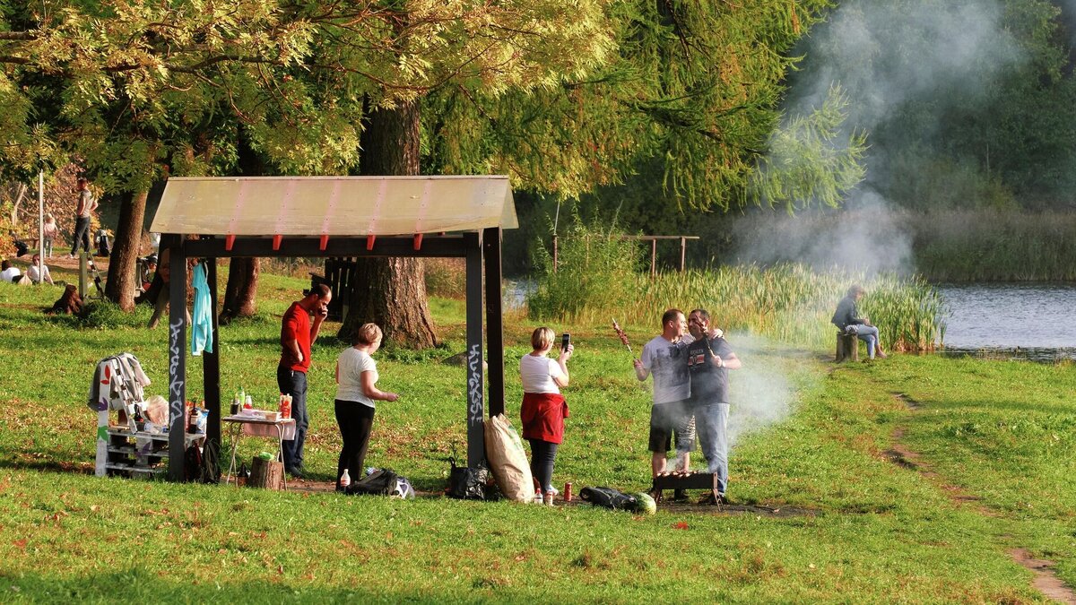 Где можно отдохнуть и пожарить шашлык. Отдых на природе. Пикник шашлык на природе. Отдых на природе шашлыки. Шашлыки на даче.