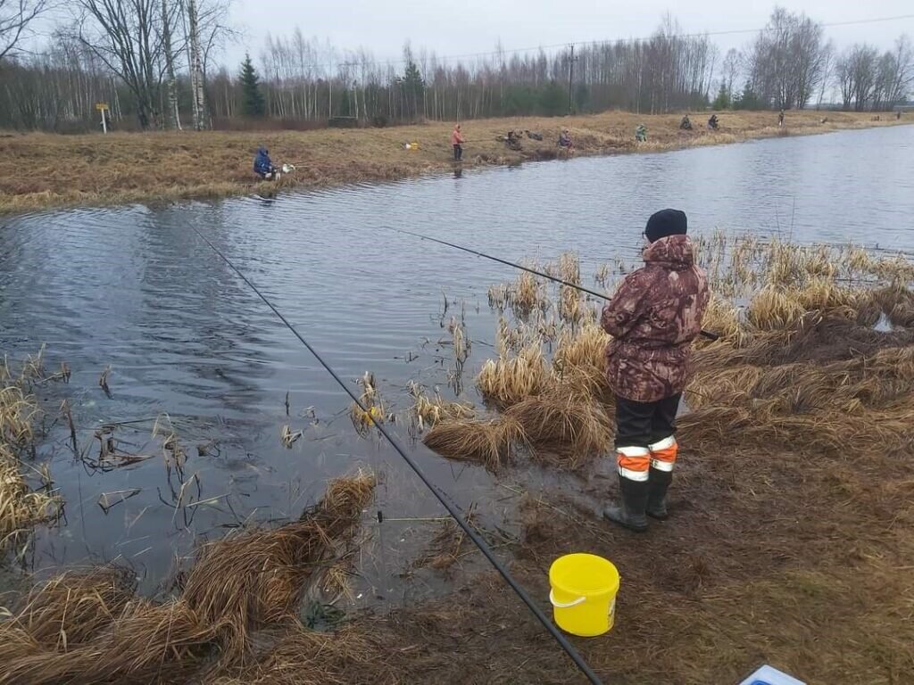 Чем заменить спиннинг в нерест и какую рыбу ловить | журнал Рыбалка GROUP |  Дзен