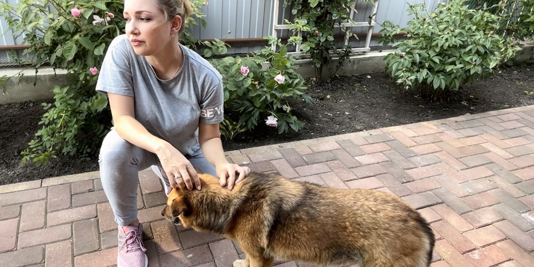 Если собака начала кашлять…