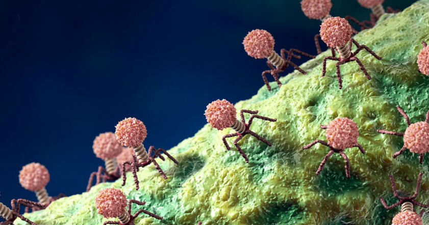 Вирусы или живые клетки: что появилось раньше? Три гипотезы