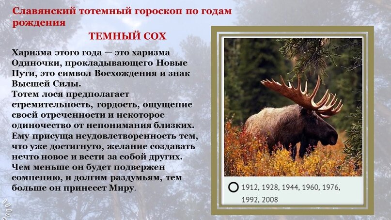 По славянскому календарю какой символ года
