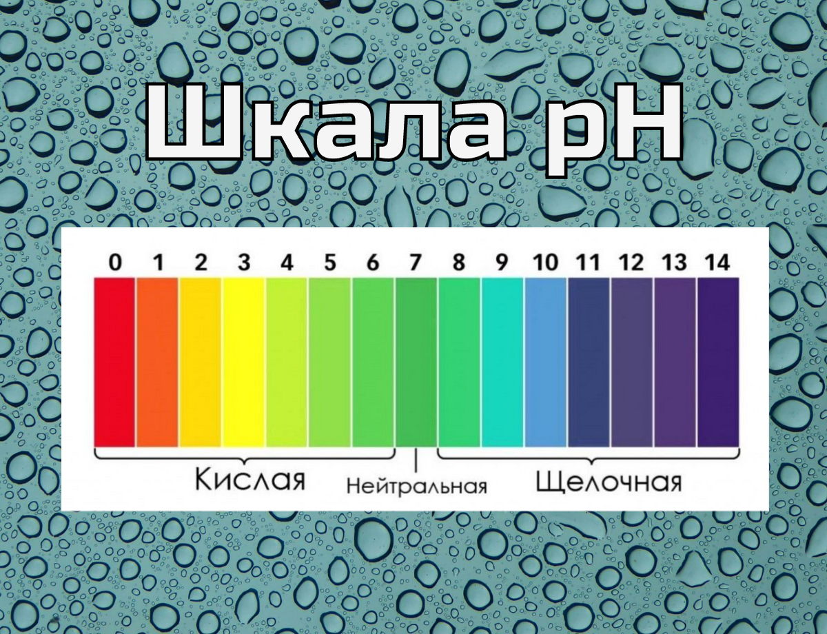 Шкала pH