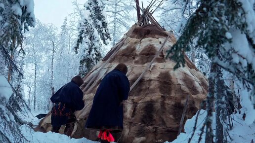 Как живут лесные кочевники Ханты. Жизнь на Крайнем Севере.