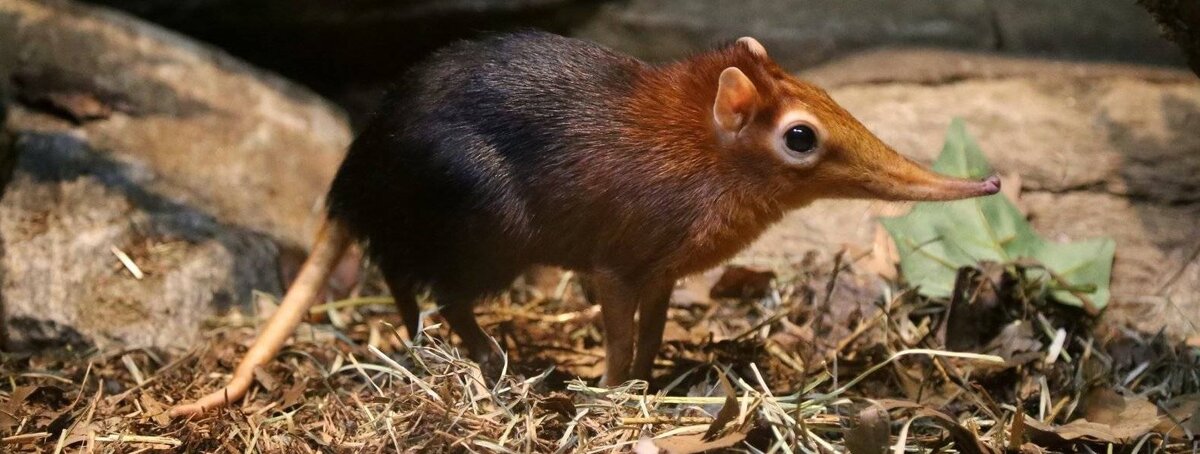 Из открытых источников