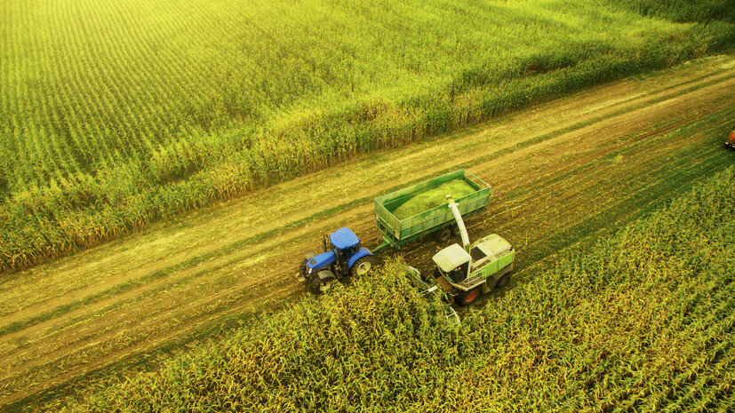   Gettyimages.ru Hans Neleman