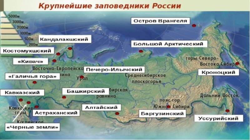 Крупнейшие заповедники России