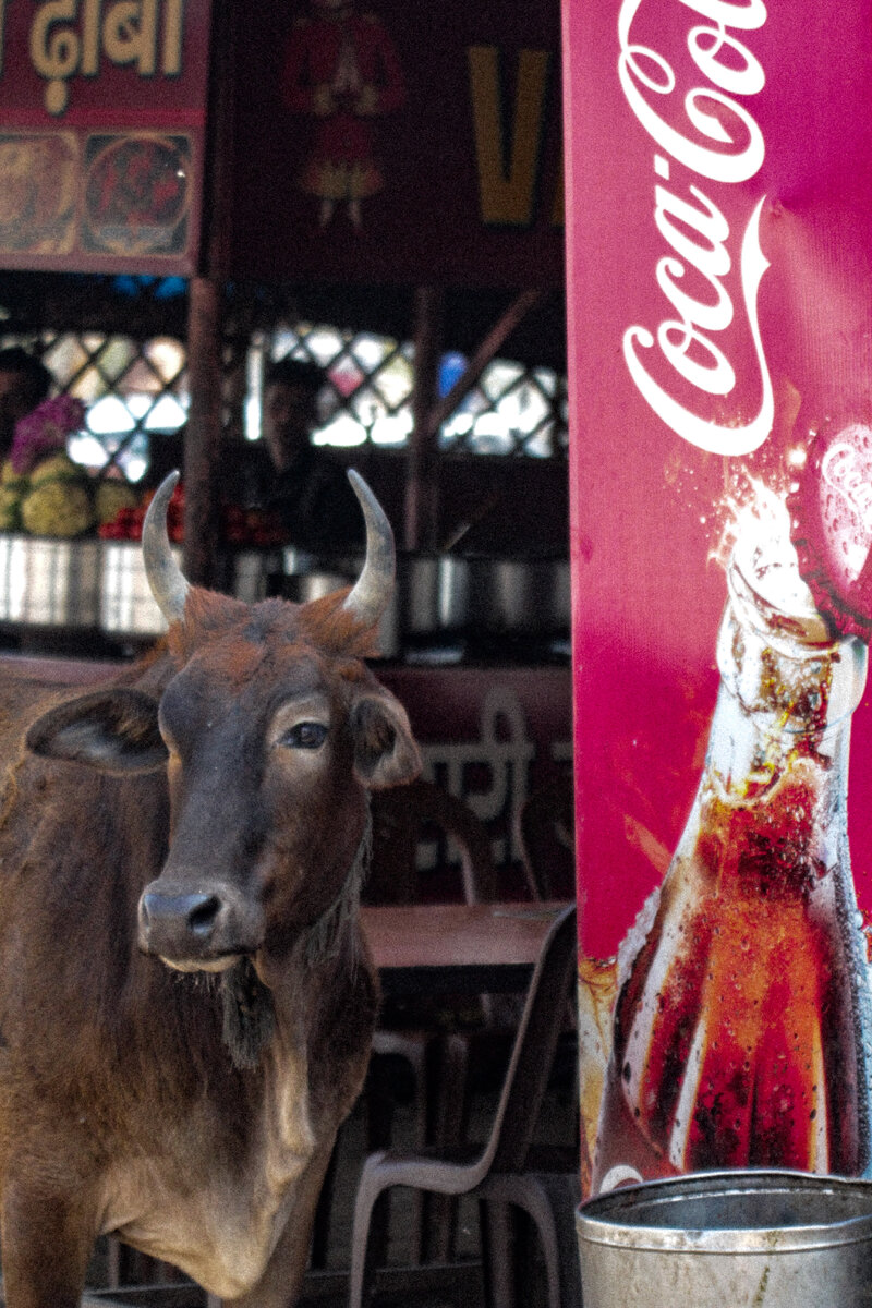 Скрытая реклама).