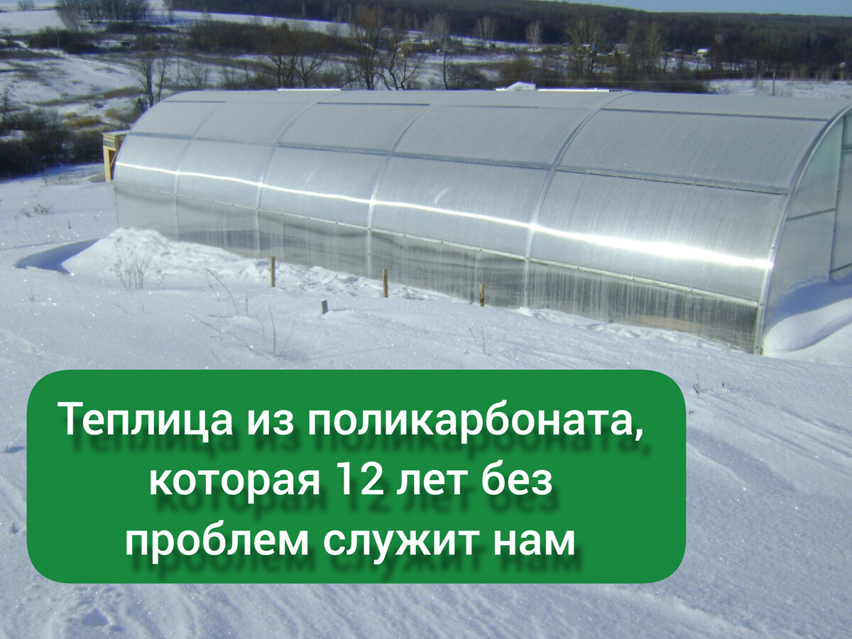 Наша теплица