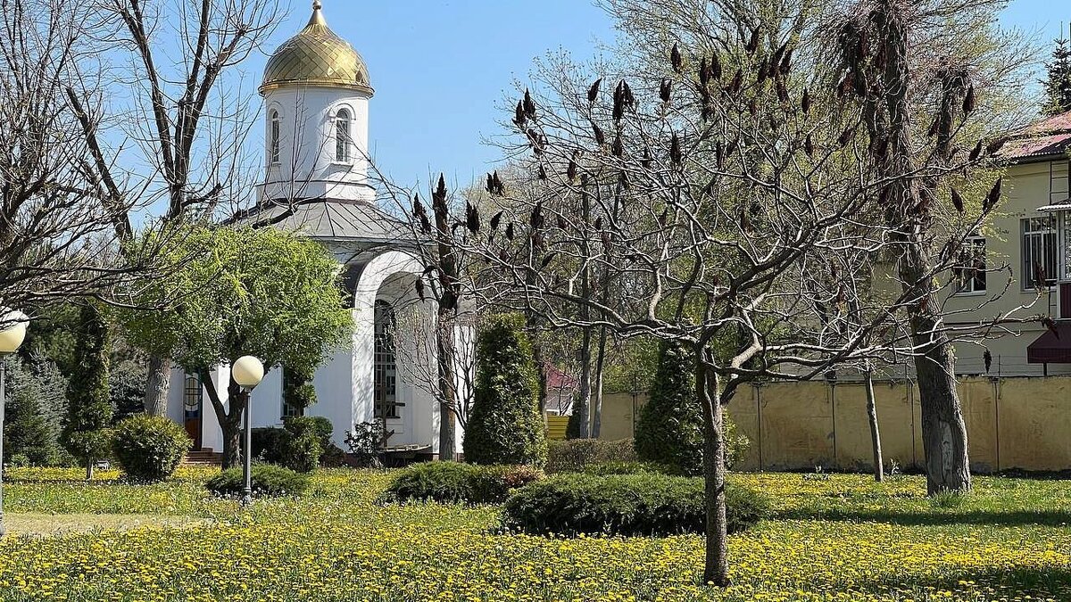    В среду температура воздуха в Краснодаре превысит 30°. Фото: телеканал «Краснодар»