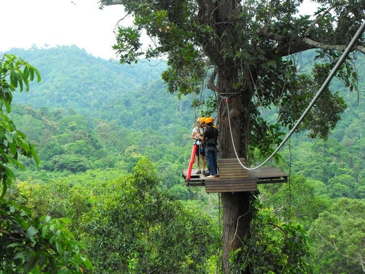 Полёт Гиббона. Паттайя, Тайланд.