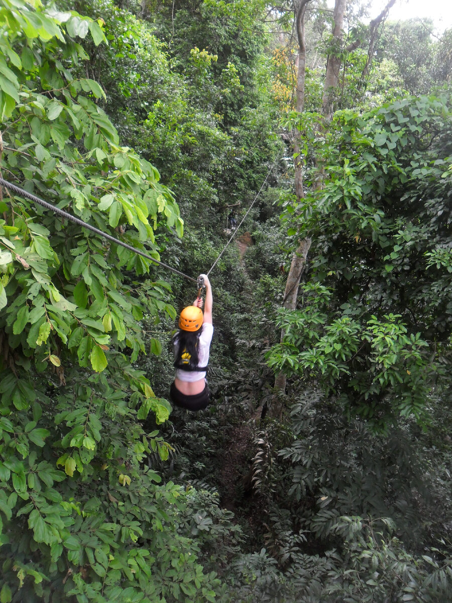 Полёт Гиббона. Паттайя, Тайланд.