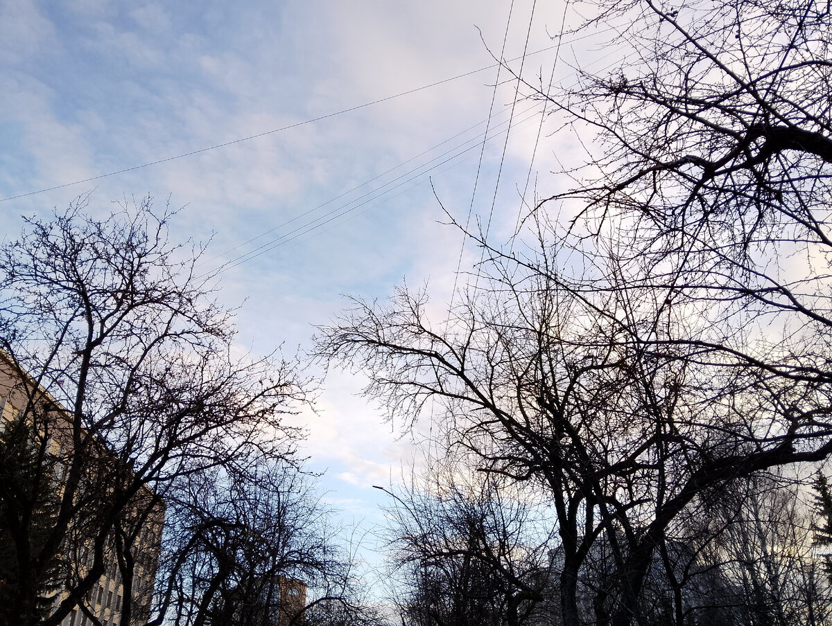 После дождика, фото автора