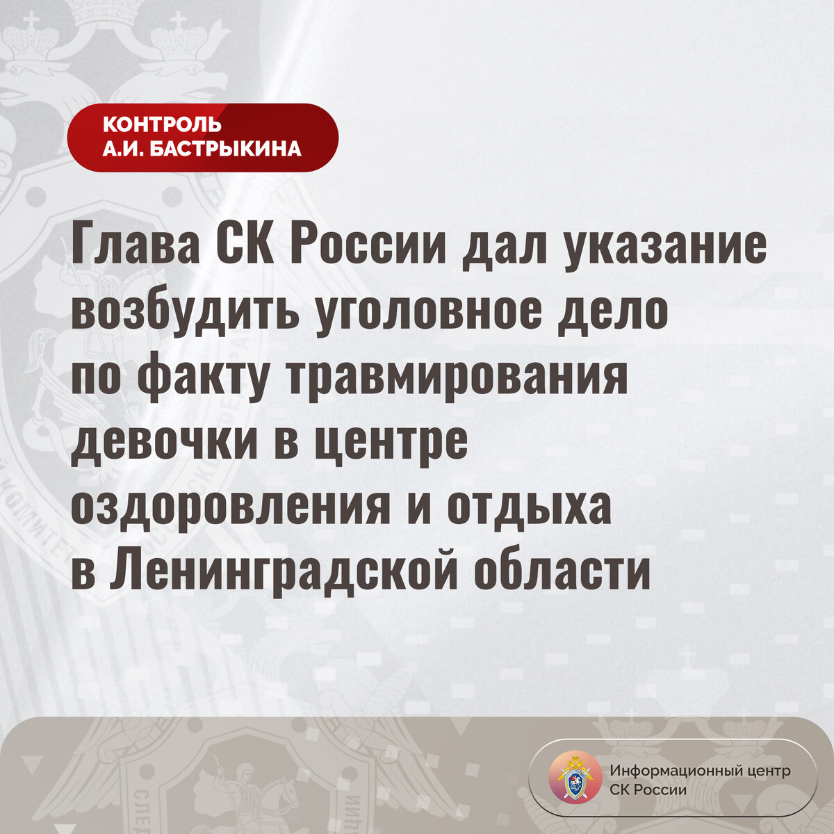 Глава СК России дал указание возбудить уголовное дело по факту  травмирования девочки в центре оздоровления и отдыха в Ленинградской  области | Информационный центр СК России | Дзен