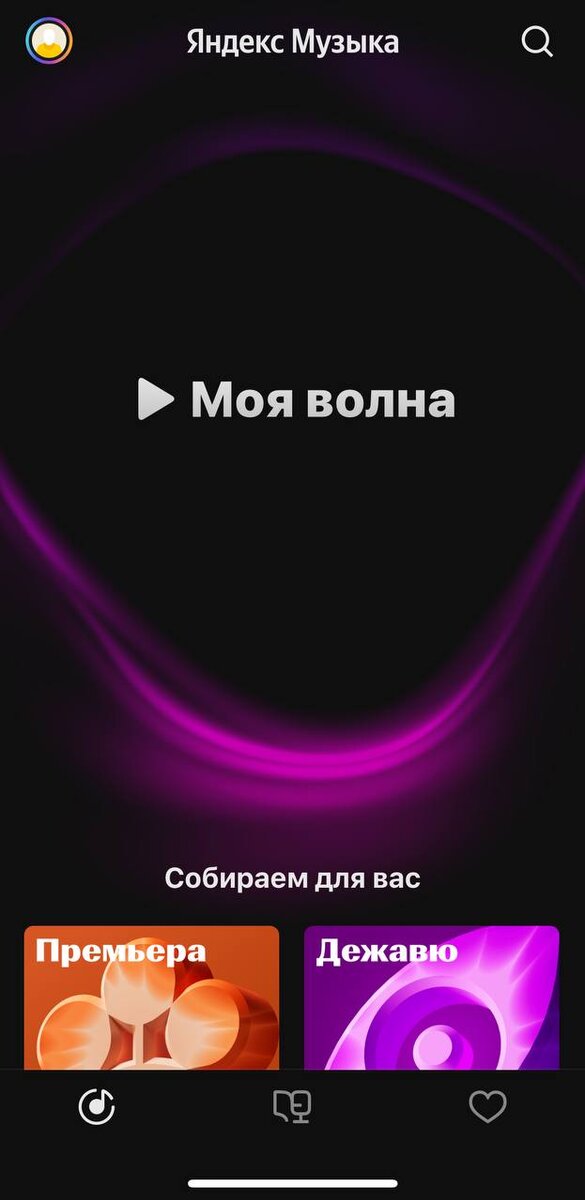 «За голову, спину и руку»: в Туле собака покусала 5-летнего мальчика