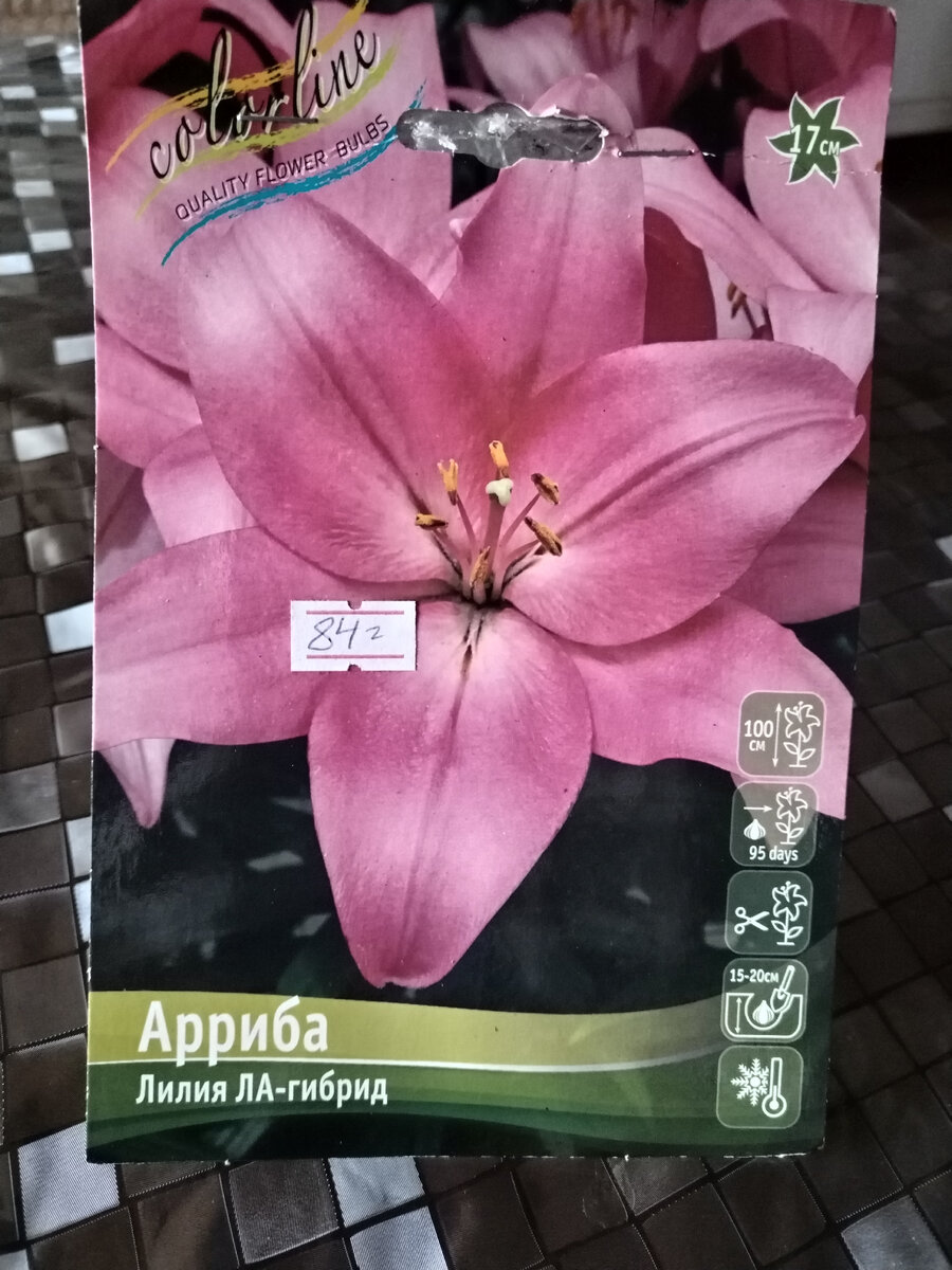 Ну правда же красавица?