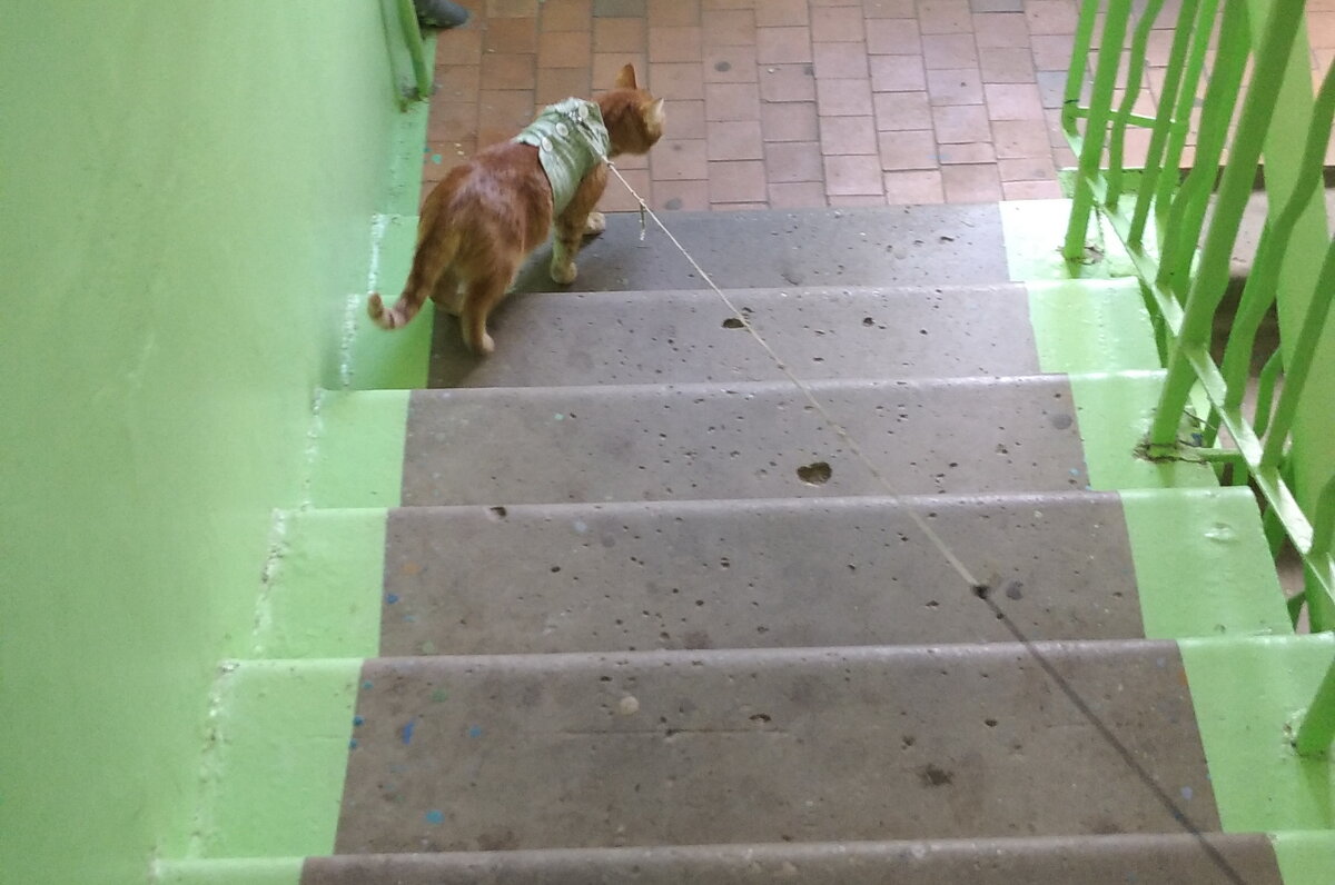 Личное  фото.