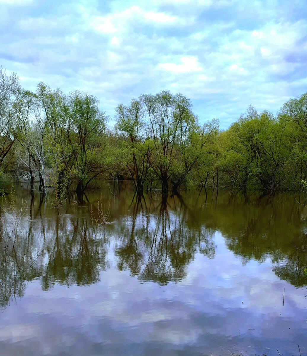 Река Ворона 