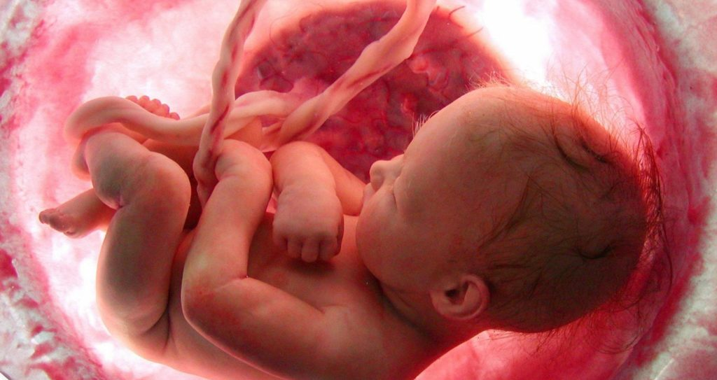 Что такое замершая беременность