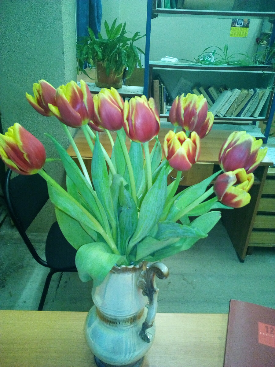 Это тоже некоррупционный подарок к 8 марта - от мужчин кафедры математики в 2018 году. Фото "коррупционных" коробок конфет у меня нет, увы.