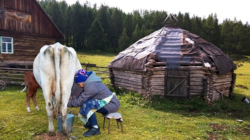 АЛТАЙ Деревенская жизнь. Старый уклад жизни в Алтайской деревне. Россия