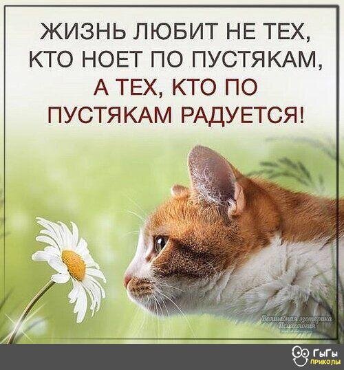 фото с открытых источников сети "интернет".
