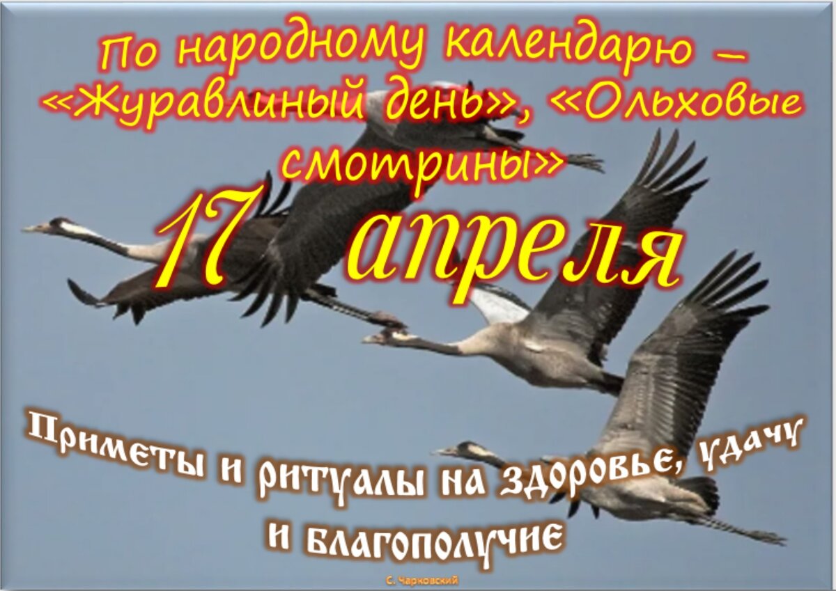 Встречаем новый день