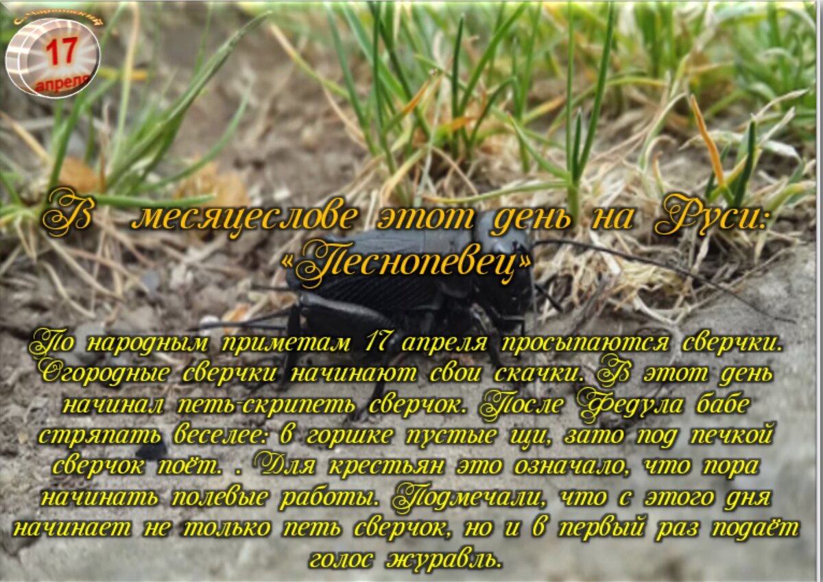 Встречаем новый день