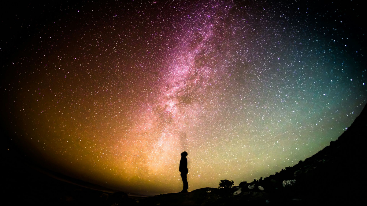Фото: Greg Rakozy, Unsplash